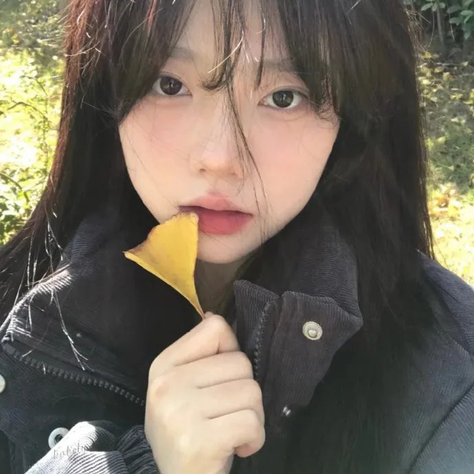 我们生活的夏天