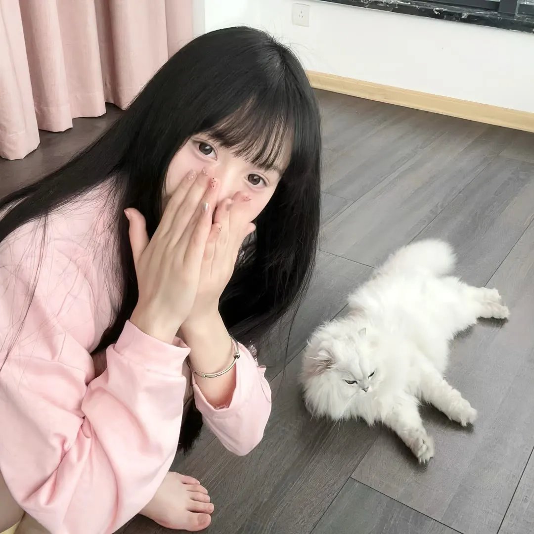 我的世界大电影